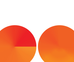 logo DELTA GO